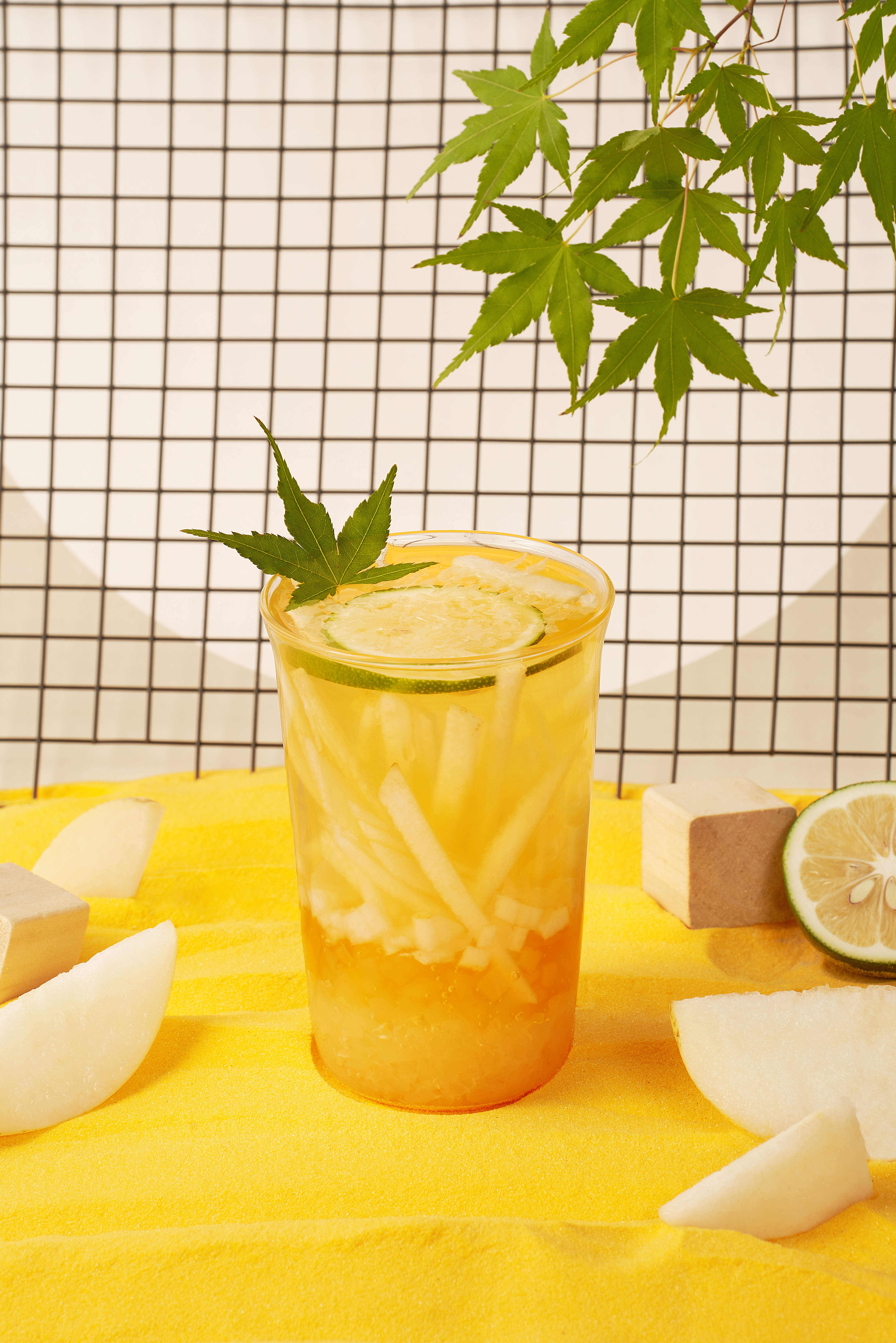 雪梨白月光