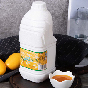 A-grade Mango Juice-Fresh and direct essence of orchard